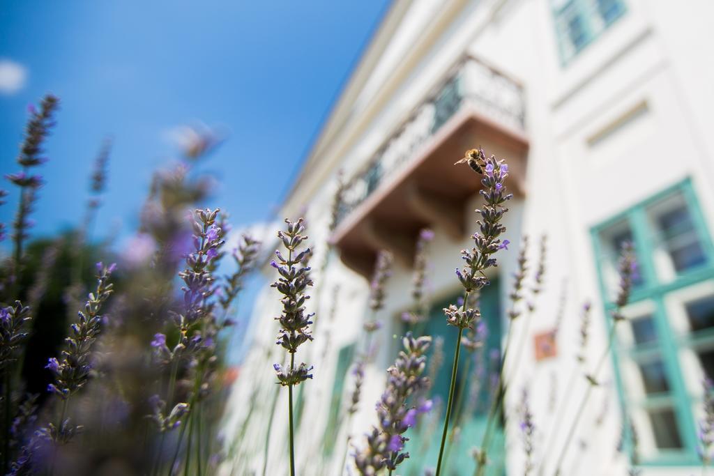 Erzsébet Nagy Szálloda Paks Exterior foto